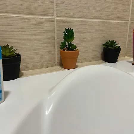 Debreceni Nagyerdei - Ingyenes Zart Parkoloval Debrecen